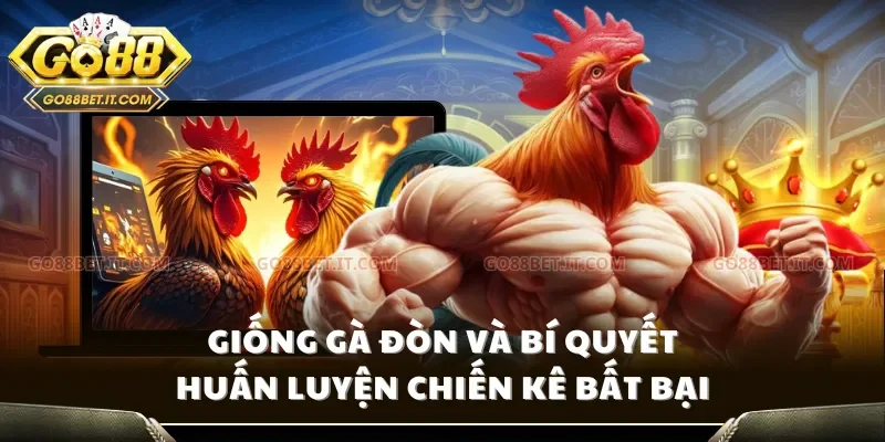 Giống gà đòn